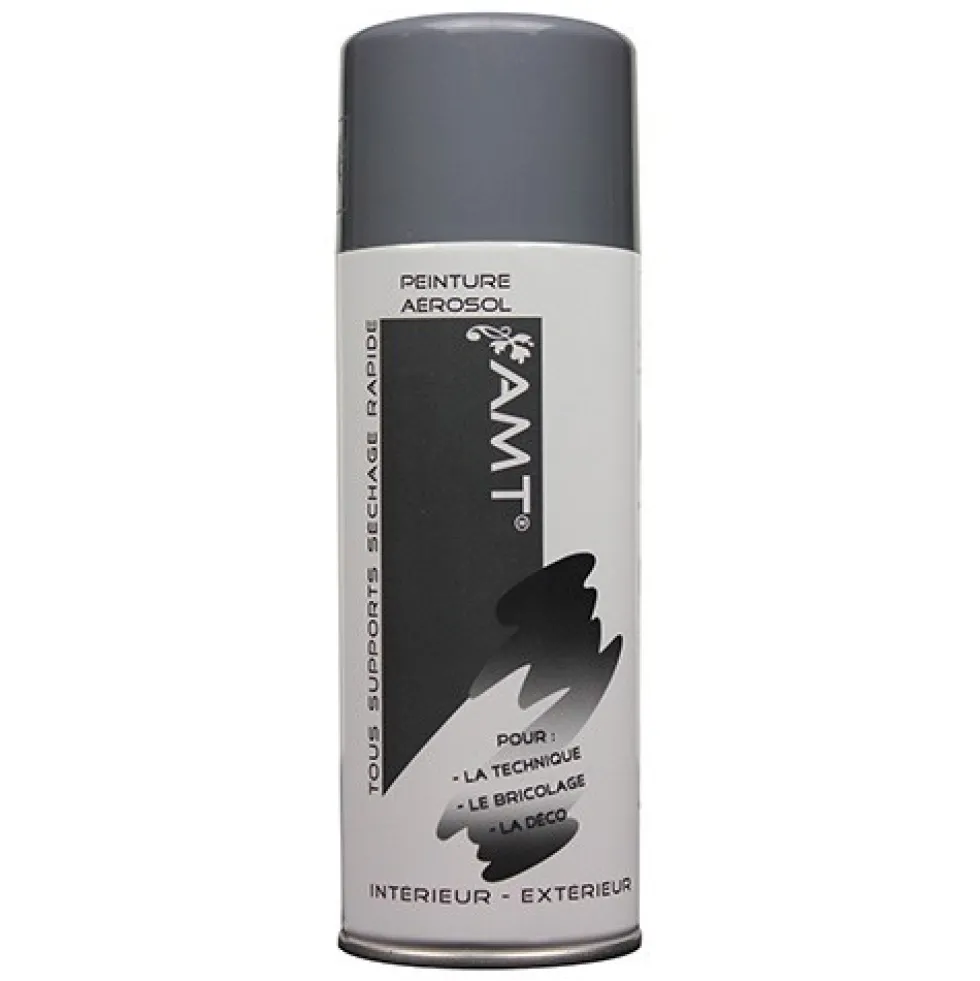 AMT Aérosol Couleur Gris ciment (BPA17)