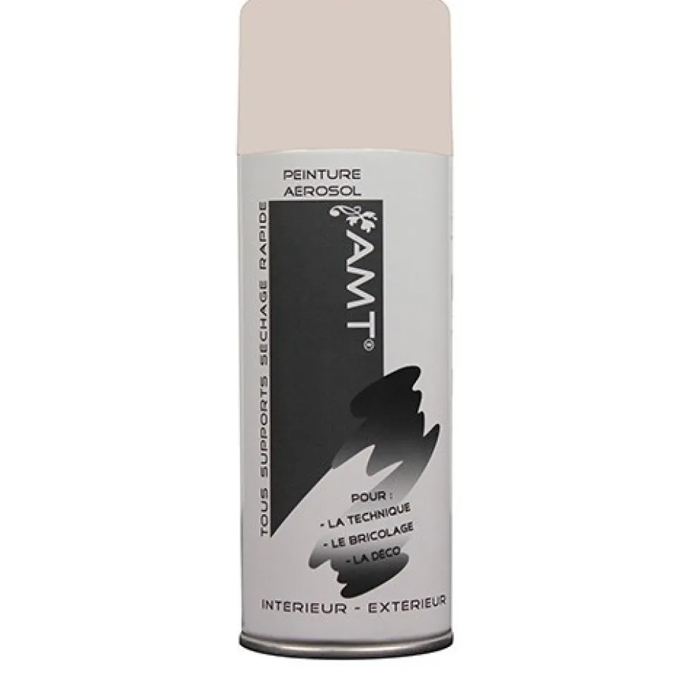 AMT Aérosol Couleur Gris clair Mat (BPA008)