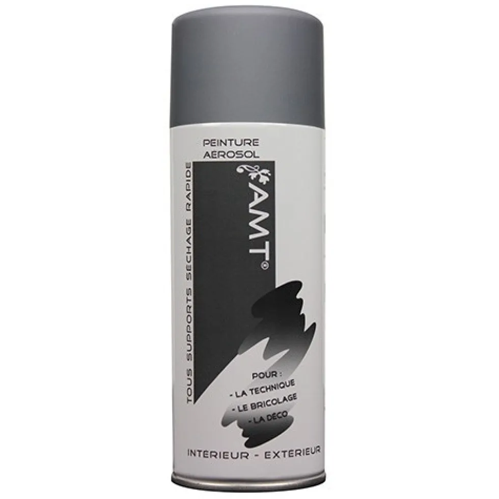AMT Aérosol Couleur Gris Mat (BPA004)
