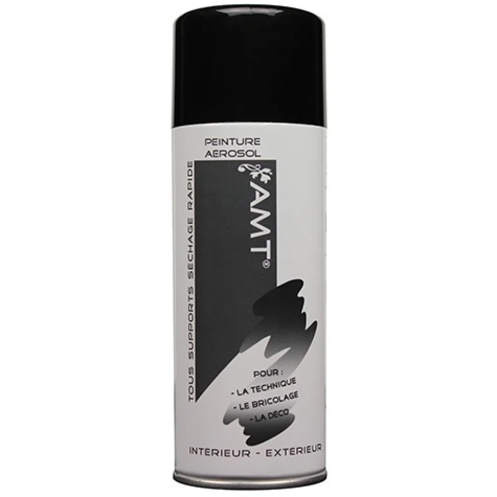 AMT Aérosol Couleur Noir(BPA03)
