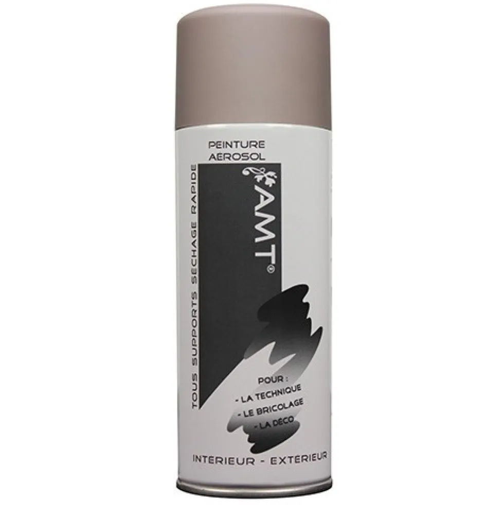 AMT Aérosol Couleur Taupe Mat (BPA003)
