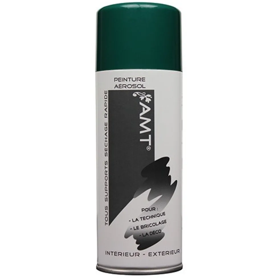 AMT Aérosol Couleur Vert jardin (BPA11)