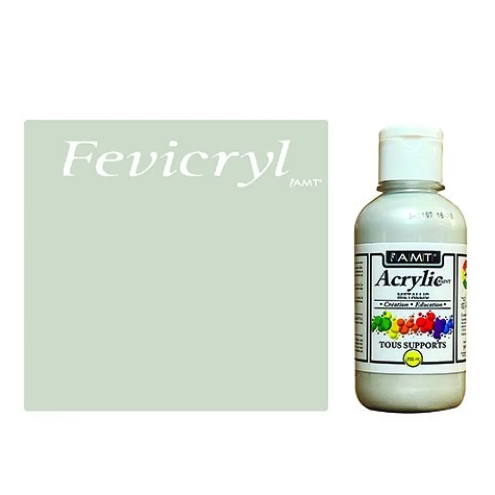 AMT Fevicryl Acrylique éducative & créative Argent Métallisé (ACE263)