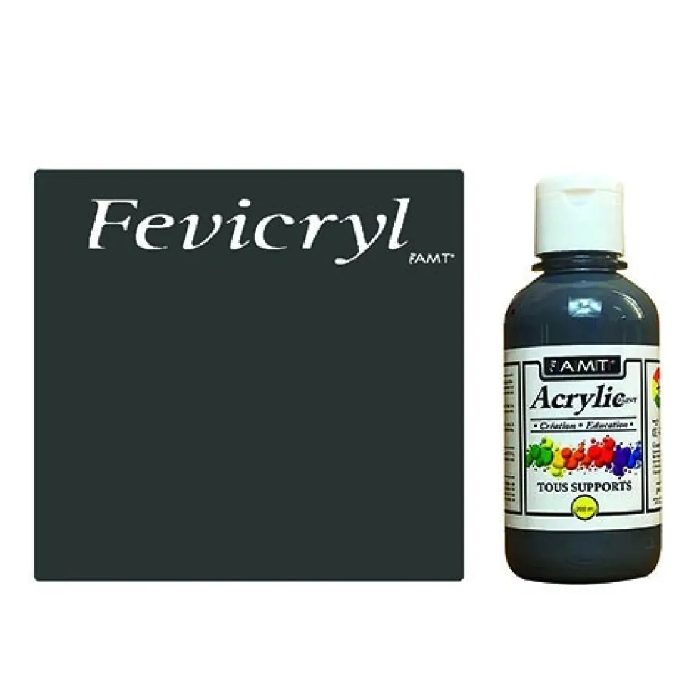AMT Fevicryl Acrylique éducative & créative Gris (ACE219)