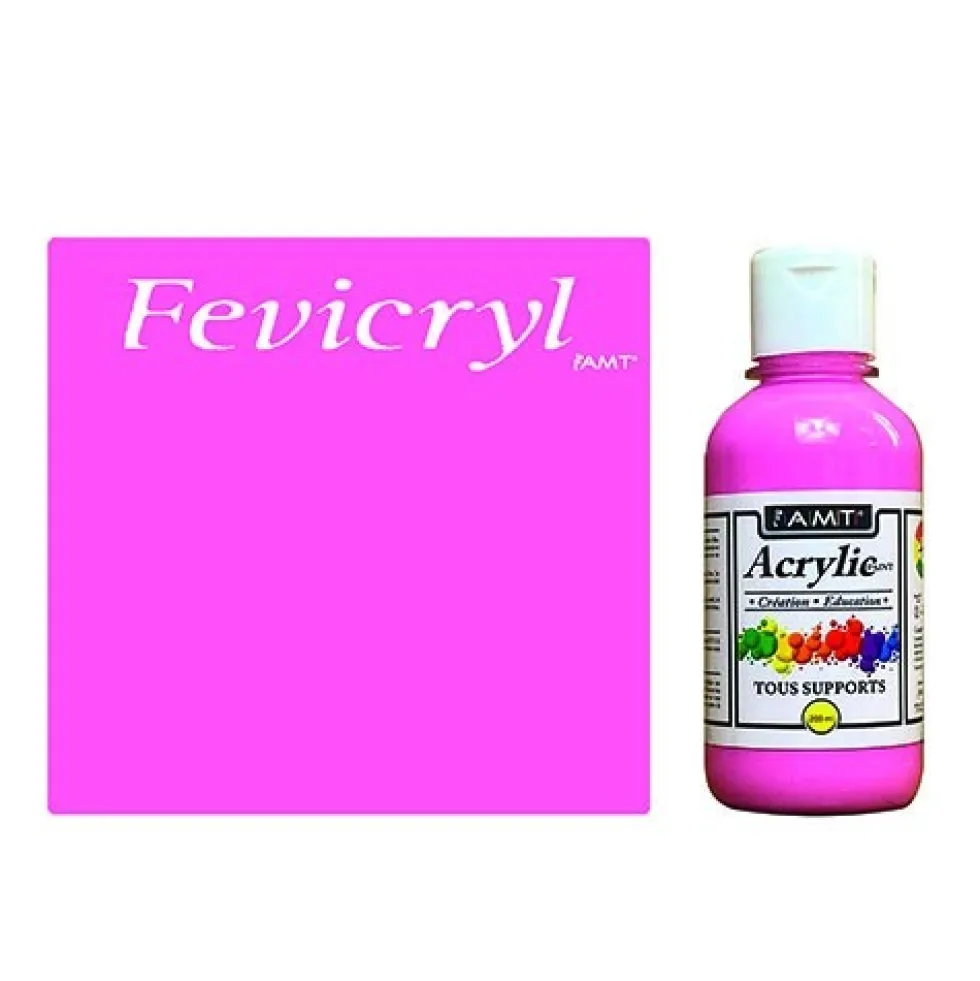 AMT Fevicryl Acrylique éducative & créative Rose Princesse (ACE208)