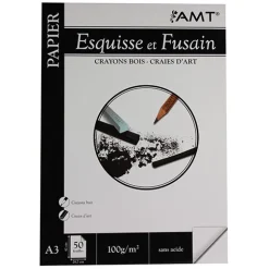 AMT Papier Esquisse & Fusain (PEP)
