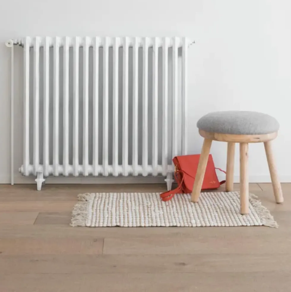 Aérosol Peinture De Rénovation V33 Radiateur Électroménager Blanc Mat