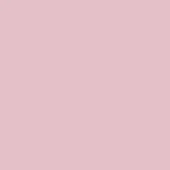 AVI Colore la Vie Peinture Toutes pièces Rose bonbon