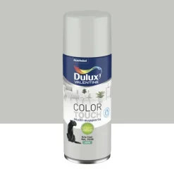 Bombe aérosol de peinture DULUX VALENTINE Color Touch Gris clair satin