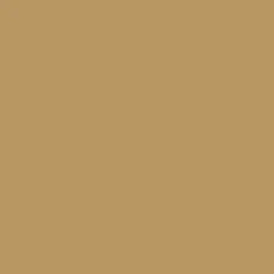 Bombe aérosol de peinture DULUX VALENTINE Color Touch Ocre doré satin