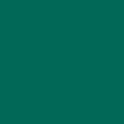 Bombe de peinture aérosol MTN Hardcore Vert foncé (RV-6016)
