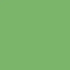 Bombe de peinture aérosol MTN Hardcore Vert clair (RV-4)