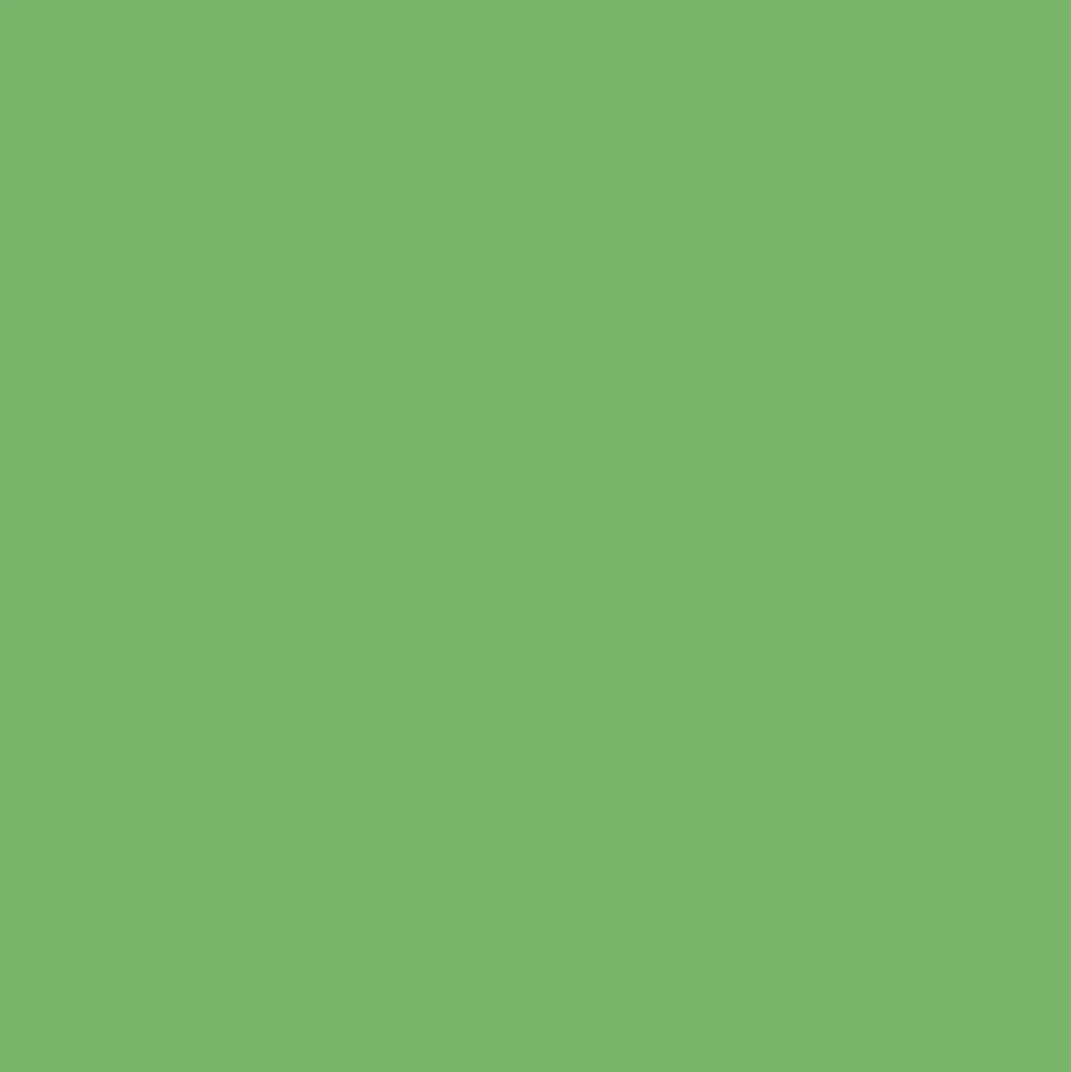Bombe de peinture aérosol MTN Hardcore Vert clair (RV-4)