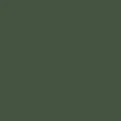 Bombe de peinture aérosol MTN Hardcore Vert olive (RV-6003)