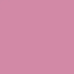 Bombe de peinture aérosol MTN Hardcore Rose princesse (RV-257)