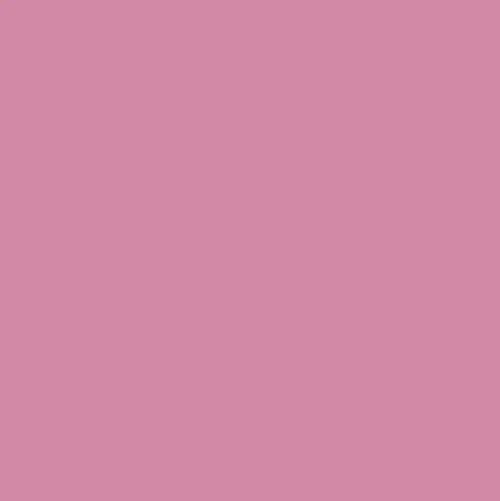 Bombe de peinture aérosol MTN Hardcore Rose princesse (RV-257)