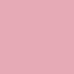 Bombe de peinture aérosol MTN Hardcore Rose Alice (RV-348)