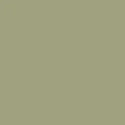 Bombe de peinture aérosol MTN 94 Vert thai (RV-180)