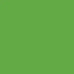 Bombe de peinture aérosol MTN 94 Vert Hulk (RV-280)