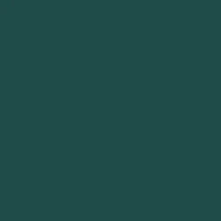 Bombe de peinture MAISON DECO Relook Tout Extrême Vert luxuriant satin