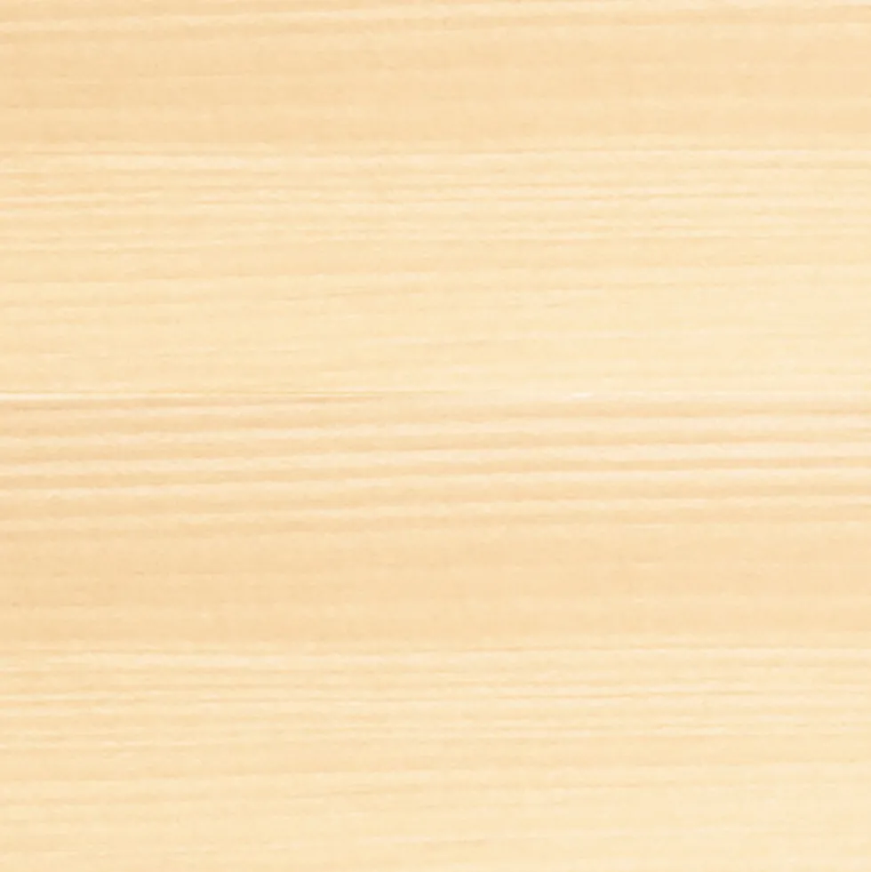 BONDEX Lasure Très Haute Protection 8 ans Incolore