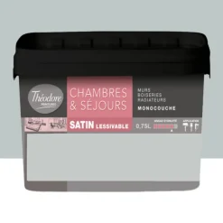 Chambres & Séjours Théodore Satin Monocouche Béton