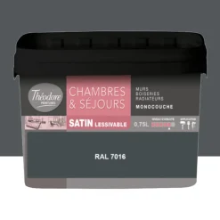 Chambres & Séjours Théodore Satin Monocouche 7016