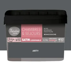 Chambres & Séjours Théodore Satin Monocouche Arty