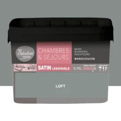 Chambres & Séjours Théodore Satin Monocouche Loft