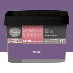Chambres & Séjours Théodore Satin Monocouche Prune