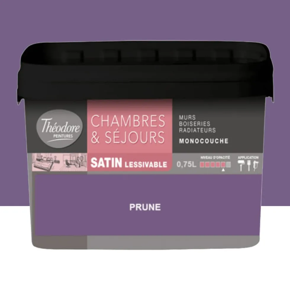 Chambres & Séjours Théodore Satin Monocouche Prune