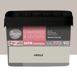 Chambres & Séjours Théodore Satin Monocouche Argile