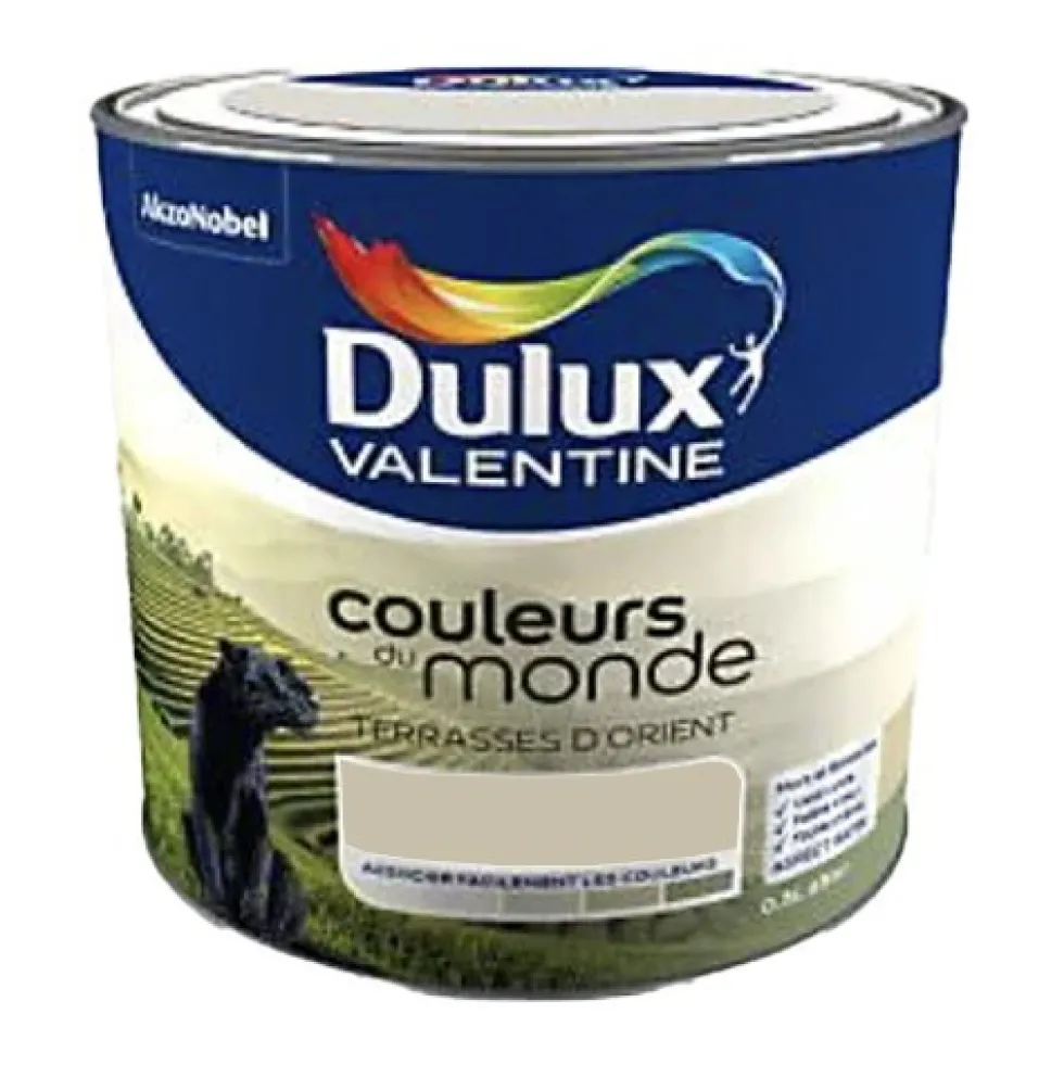 DULUX VALENTINE Couleurs du monde Terrasses d'Orient Moyen