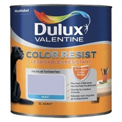 Dulux Valentine Peinture acrylique Color Resist Violet minéral Mat
