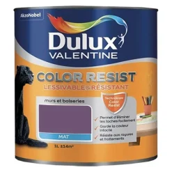 Dulux Valentine Peinture acrylique Color Resist Amethyste Mat