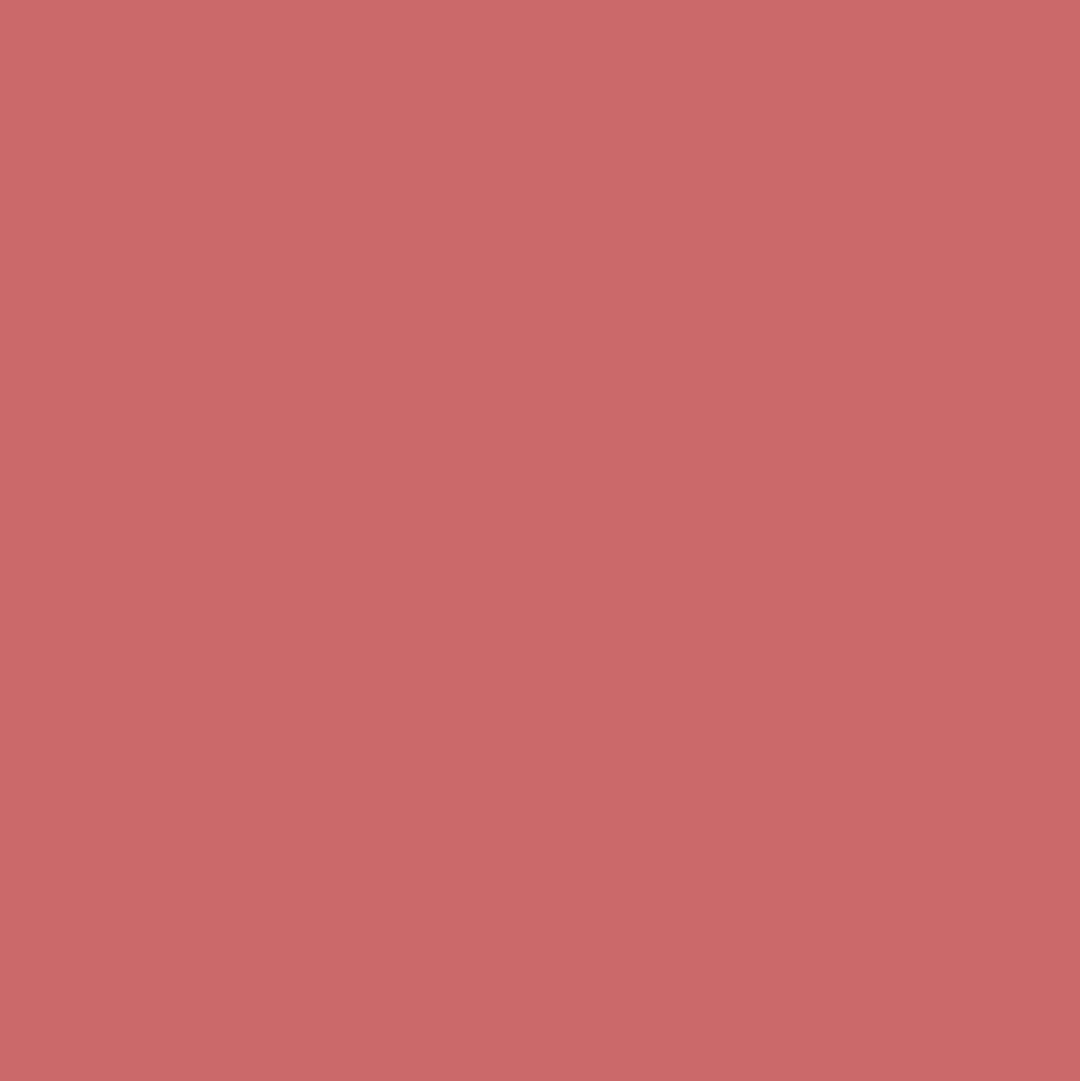 Dulux Valentine Peinture acrylique Color Resist Rouge éternel Mat