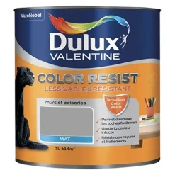 Dulux Valentine Peinture acrylique Color Resist Aluminium Mat