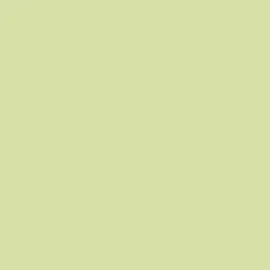 Dulux Valentine Peinture acrylique Color Resist Vert fluorine Mat