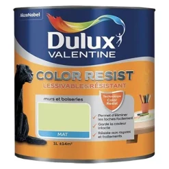 Dulux Valentine Peinture acrylique Color Resist Vert fluorine Mat