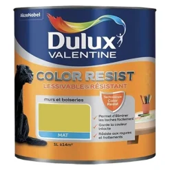 Dulux Valentine Peinture acrylique Color Resist Topaze vert Mat