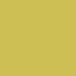 Dulux Valentine Peinture acrylique Color Resist Topaze vert Mat