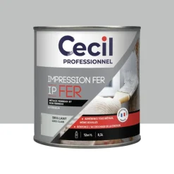 Impression Fer Cécil Professionnel IP FER Gris Clair Brillant
