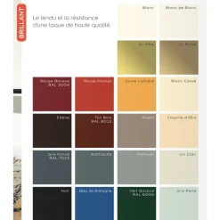 Laque brillant Dulux Valentine Valénite Rouge madras