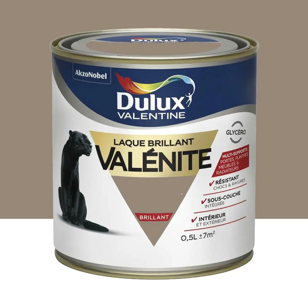 Laque brillant Dulux Valentine Valénite Taupe