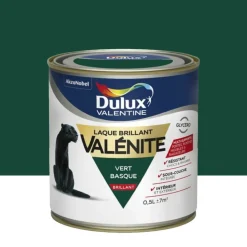 Laque brillant Dulux Valentine Valénite Vert Basque
