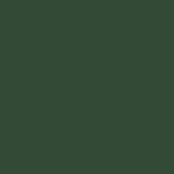 Laque Glycéro Ripolin Satin Vert Basque