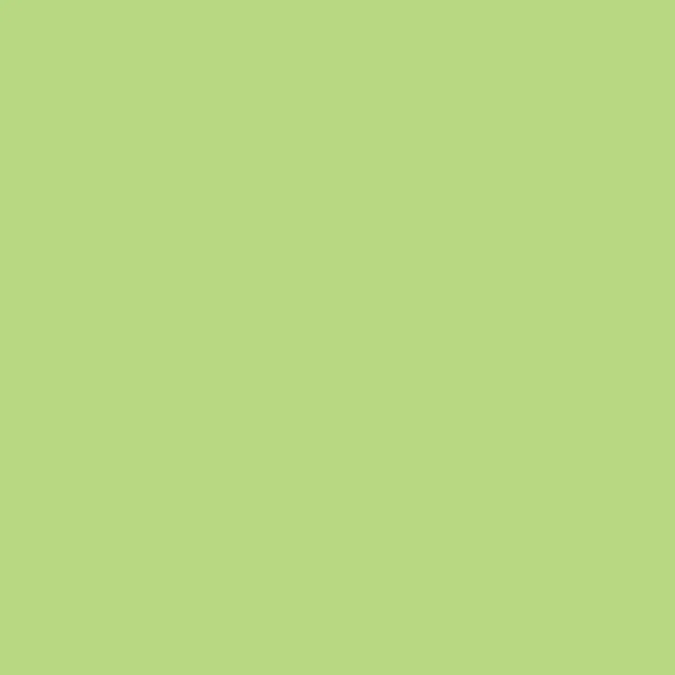 Laque Glycéro Satin ASTRAL Vert Anis