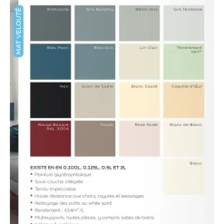 Laque mat velouté Dulux Valentine Valénite Anthracite