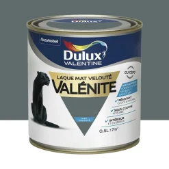 Laque mat velouté Dulux Valentine Valénite Anthracite