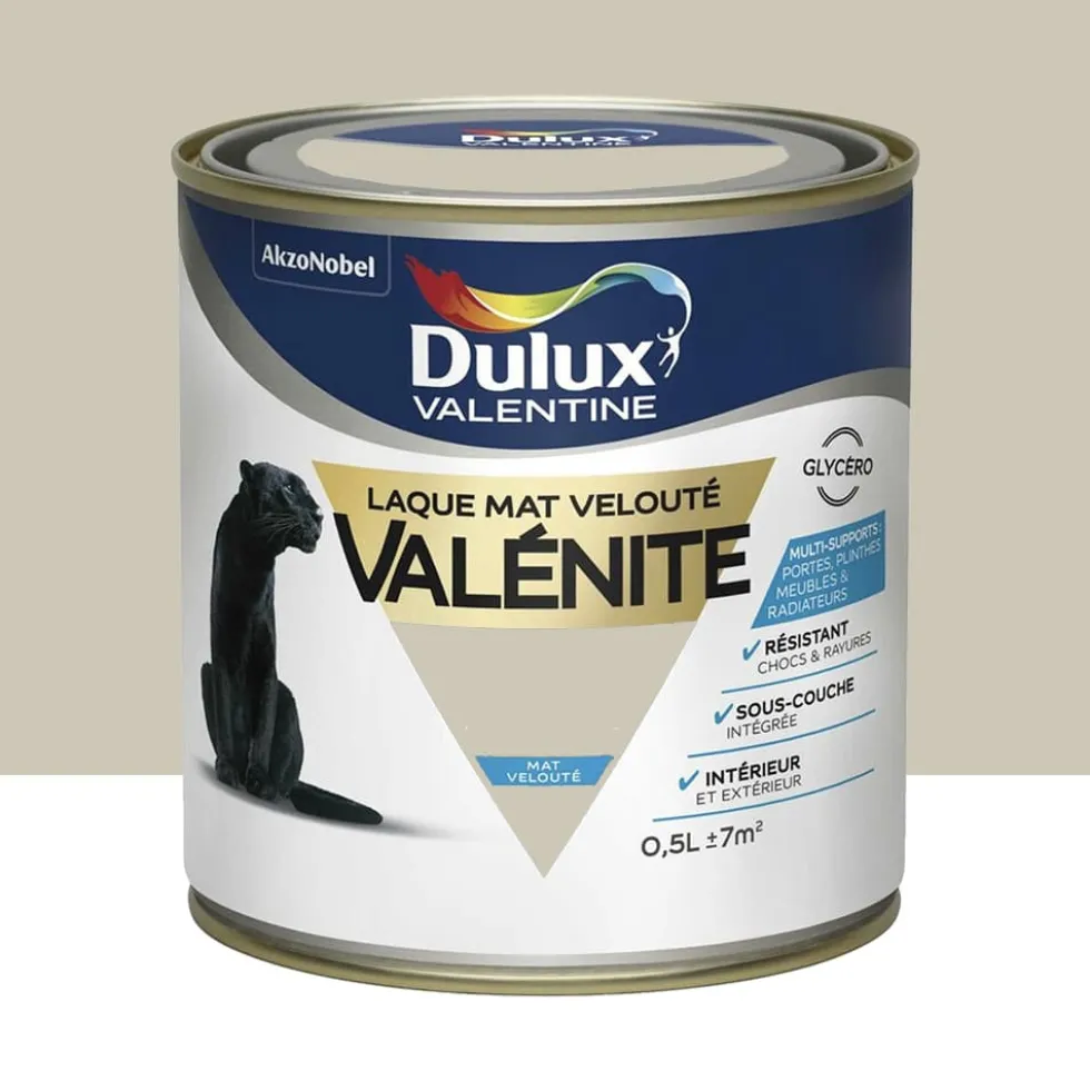Laque mat velouté Dulux Valentine Valénite Grain de Sable